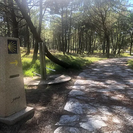 Refugio Climático En Frente A La Playa Con Vistas Al Mar!! Appartamento Finisterre